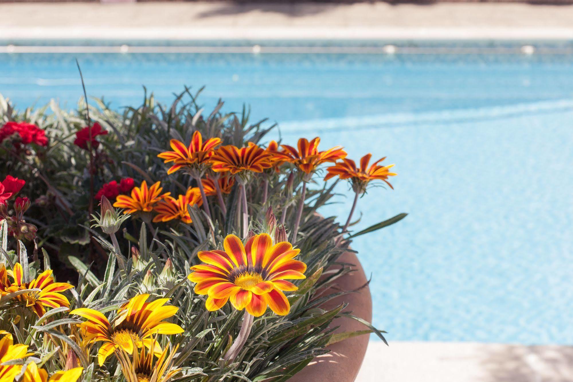 The Havelock Hotel 4*